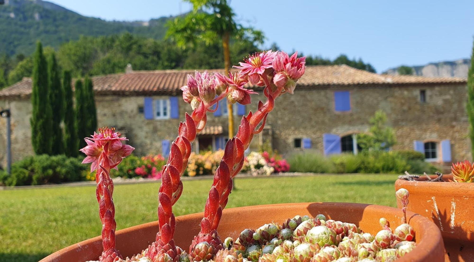 Chambres D'Hotes Le St Maurice Truinas エクステリア 写真