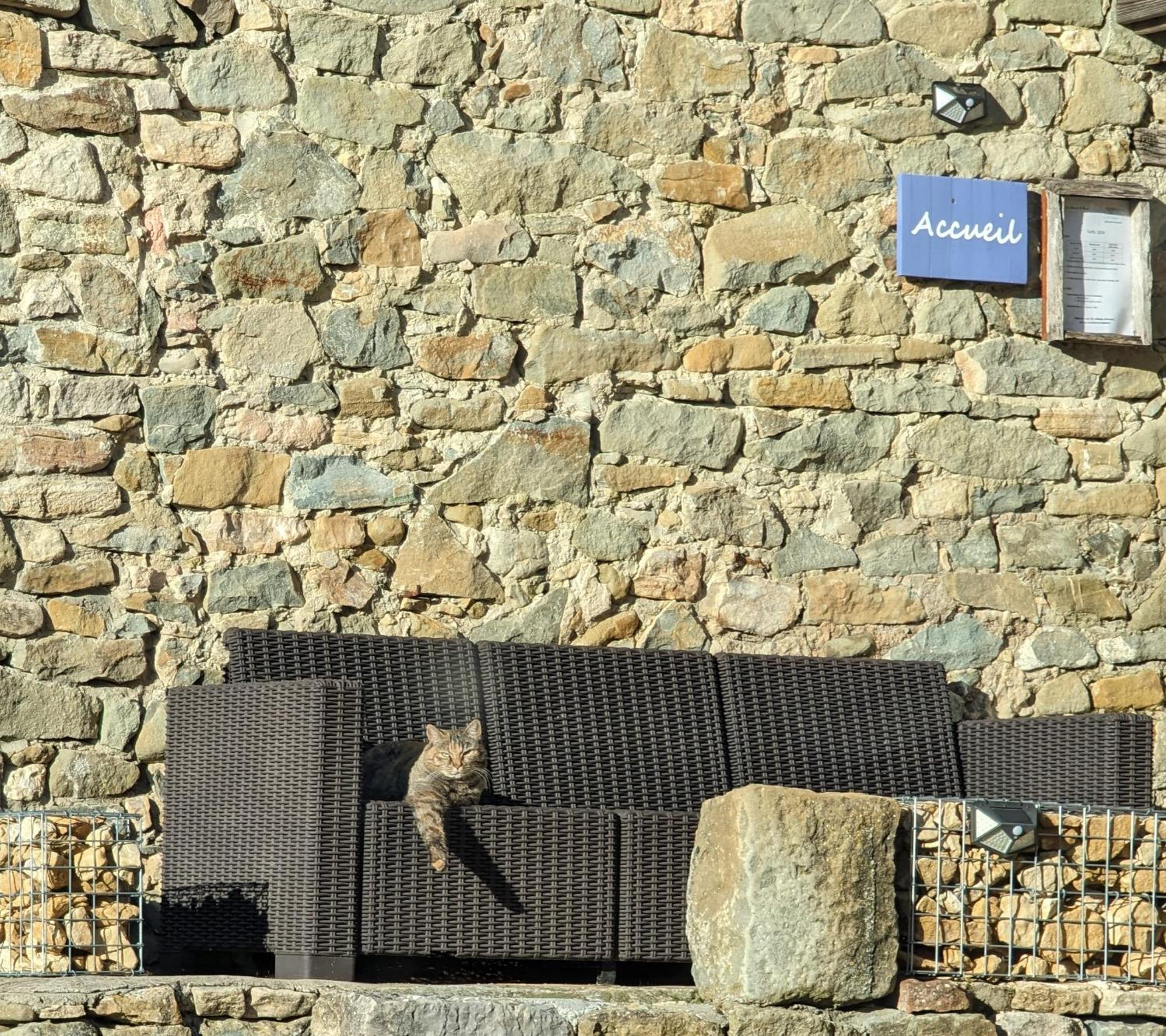 Chambres D'Hotes Le St Maurice Truinas エクステリア 写真