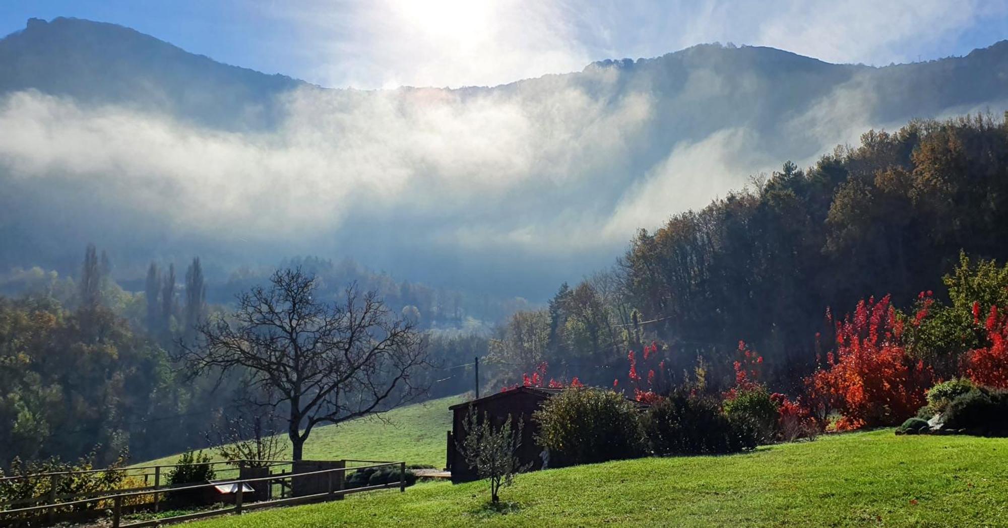 Chambres D'Hotes Le St Maurice Truinas エクステリア 写真