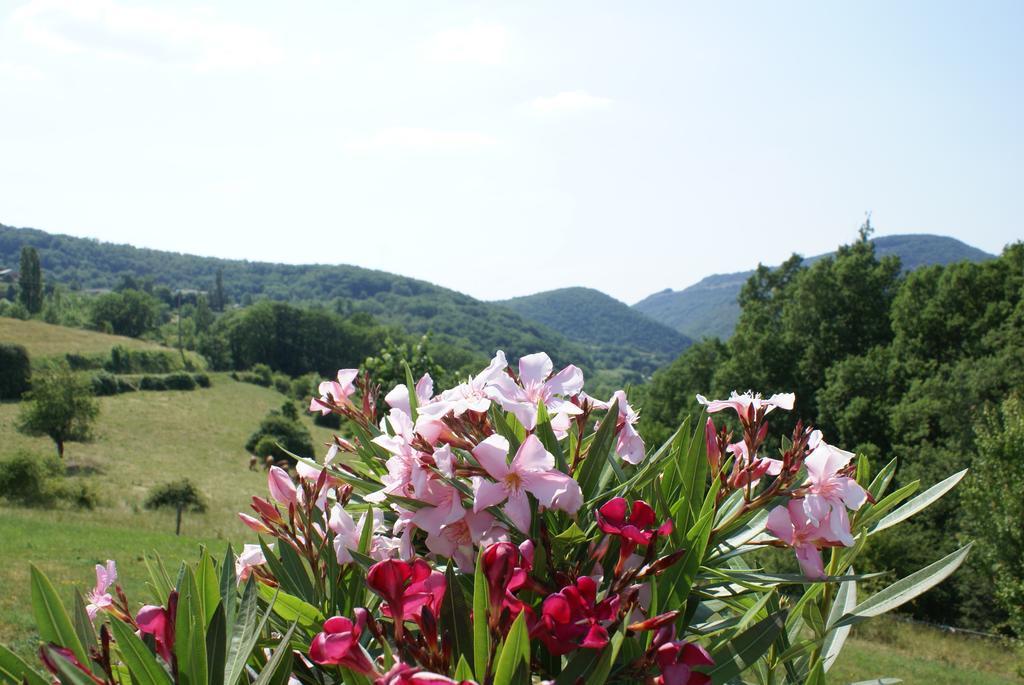 Chambres D'Hotes Le St Maurice Truinas エクステリア 写真